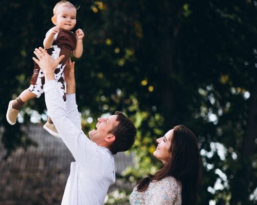 Pregnancy To Parenthood Programme Pregnancy To Parenthood Programme