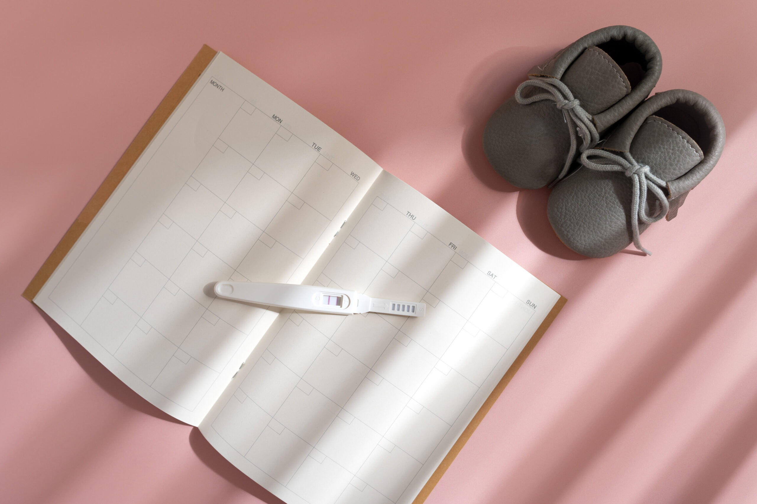 Pregnancy Care in Jaipur