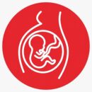 Gynecology Gynecology